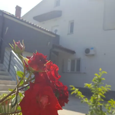 Luna Pula